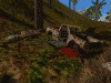 Roadkill