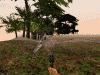 Birdhunting