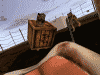 Raptor in the box