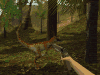anneraptor