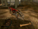 My Pet Raptor