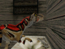 Raptor Takes care of Hygiene