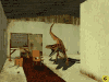 raptorvschair