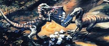 compybanner.jpg
