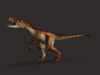 Velociraptor A-tribe