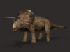  Triceratops