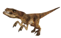 Velociraptor